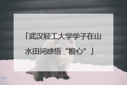 武汉轻工大学学子在山水田间感悟“粮心”