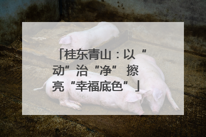 桂东青山：以“动”治“净” 擦亮“幸福底色”