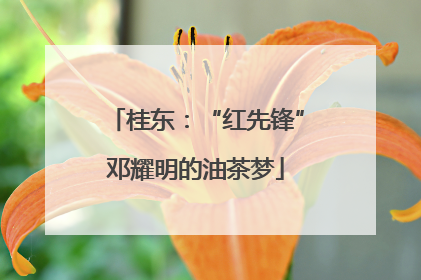 桂东：“红先锋”邓耀明的油茶梦