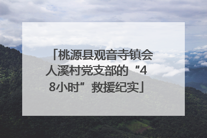 桃源县观音寺镇会人溪村党支部的“48小时”救援纪实