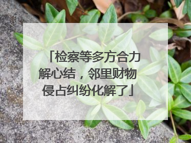 检察等多方合力解心结，邻里财物侵占纠纷化解了