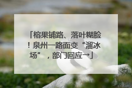 榕果铺路、落叶糊脸！泉州一路面变“溜冰场”，部门回应→