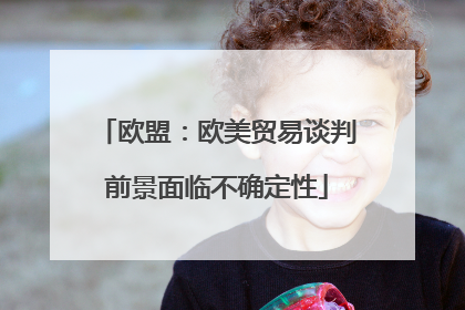 欧盟：欧美贸易谈判前景面临不确定性