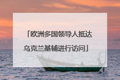 欧洲多国领导人抵达乌克兰基辅进行访问