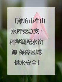 潍坊市牟山水库党总支：科学调配水资源 保障区域供水安全