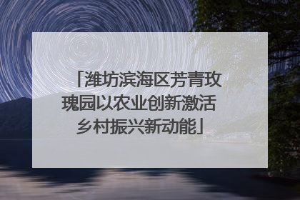 潍坊滨海区芳青玫瑰园以农业创新激活乡村振兴新动能