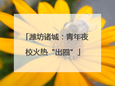 潍坊诸城：青年夜校火热“出圈”