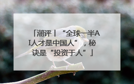 潮评丨“全球一半AI人才是中国人”，秘诀是“投资于人”
