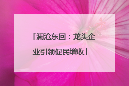 澜沧东回：龙头企业引领促民增收