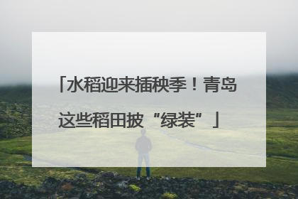 水稻迎来插秧季！青岛这些稻田披“绿装”