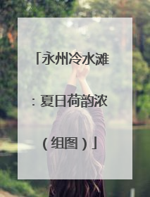 永州冷水滩：夏日荷韵浓（组图）