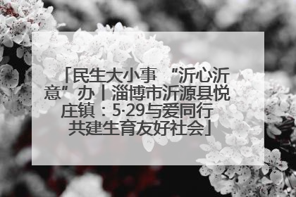 民生大小事 “沂心沂意”办丨淄博市沂源县悦庄镇：5·29与爱同行 共建生育友好社会