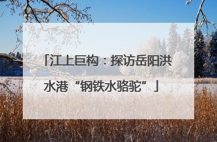 江上巨构：探访岳阳洪水港“钢铁水骆驼”