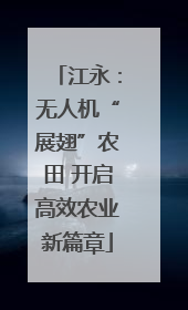 江永：无人机“展翅”农田 开启高效农业新篇章