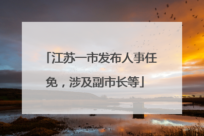 江苏一市发布人事任免，涉及副市长等