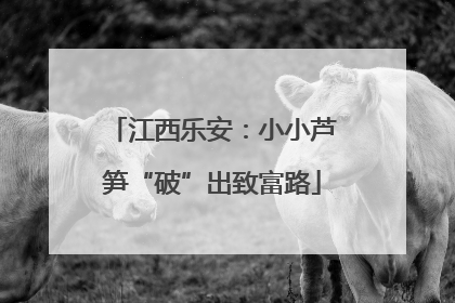 江西乐安：小小芦笋“破”出致富路