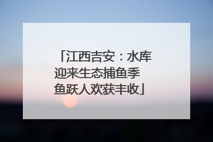 江西吉安：水库迎来生态捕鱼季 鱼跃人欢获丰收