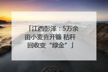 江西彭泽：5万余亩小麦喜开镰 秸秆回收变“绿金”
