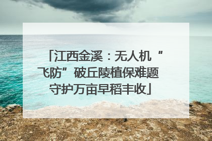 江西金溪：无人机“飞防”破丘陵植保难题 守护万亩早稻丰收