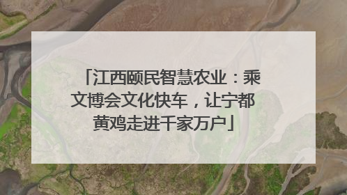 江西颐民智慧农业：乘文博会文化快车，让宁都黄鸡走进千家万户