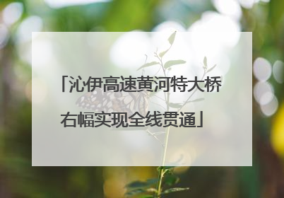沁伊高速黄河特大桥右幅实现全线贯通