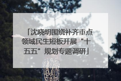 沈晓明围绕补齐重点领域民生短板开展“十五五”规划专题调研