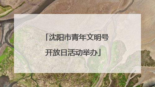 沈阳市青年文明号开放日活动举办