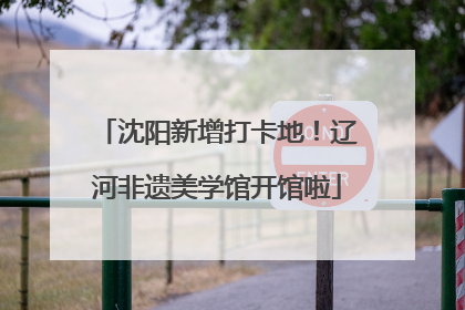 沈阳新增打卡地！辽河非遗美学馆开馆啦