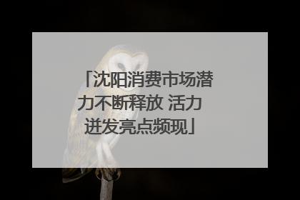 沈阳消费市场潜力不断释放 活力迸发亮点频现