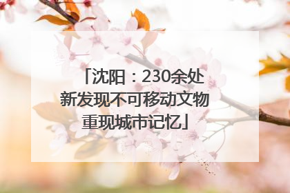 沈阳：230余处新发现不可移动文物重现城市记忆