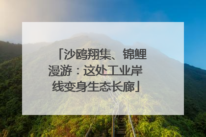 沙鸥翔集、锦鲤漫游：这处工业岸线变身生态长廊