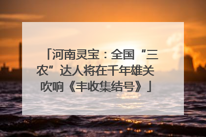 河南灵宝：全国“三农”达人将在千年雄关吹响《丰收集结号》