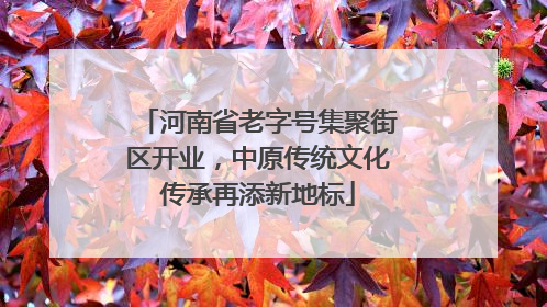 河南省老字号集聚街区开业，中原传统文化传承再添新地标
