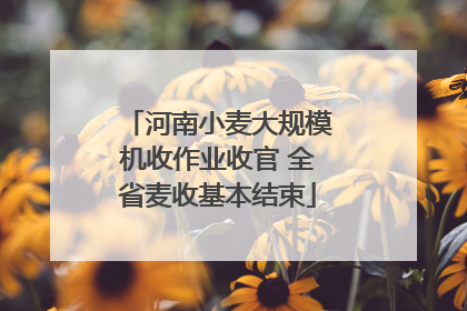 河南小麦大规模机收作业收官 全省麦收基本结束