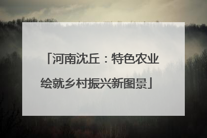 河南沈丘：特色农业绘就乡村振兴新图景