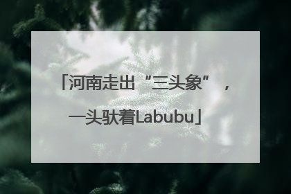 河南走出“三头象”，一头驮着Labubu
