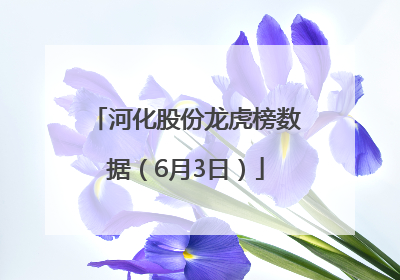 河化股份龙虎榜数据（6月3日）