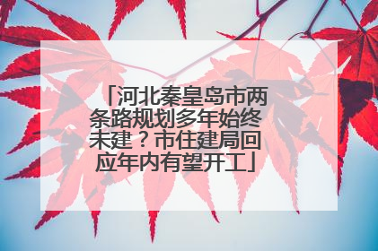 河北秦皇岛市两条路规划多年始终未建？市住建局回应年内有望开工
