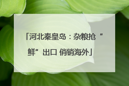 河北秦皇岛：杂粮抢“鲜”出口 俏销海外