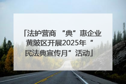 法护营商 “典”惠企业 黄陂区开展2025年“民法典宣传月”活动