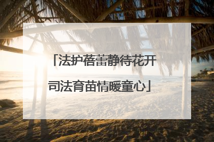 法护蓓蕾静待花开 司法育苗情暖童心