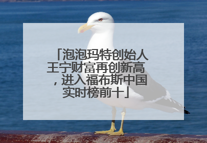 泡泡玛特创始人王宁财富再创新高，进入福布斯中国实时榜前十