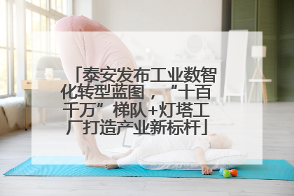 泰安发布工业数智化转型蓝图，“十百千万”梯队+灯塔工厂打造产业新标杆