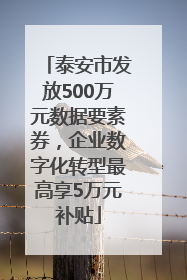 泰安市发放500万元数据要素券，企业数字化转型最高享5万元补贴