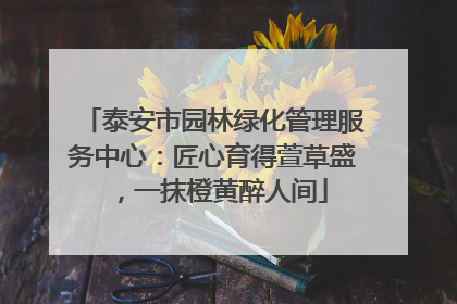 泰安市园林绿化管理服务中心：匠心育得萱草盛，一抹橙黄醉人间
