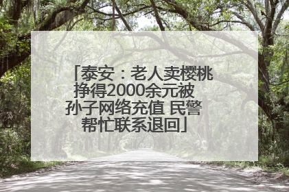 泰安：老人卖樱桃挣得2000余元被孙子网络充值 民警帮忙联系退回