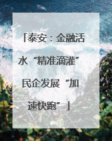 泰安：金融活水“精准滴灌” 民企发展“加速快跑”