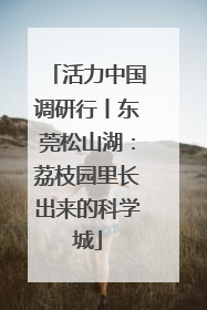活力中国调研行丨东莞松山湖：荔枝园里长出来的科学城