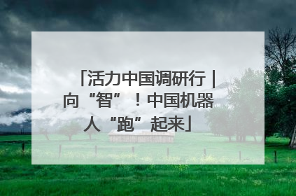 活力中国调研行｜向“智”！中国机器人“跑”起来