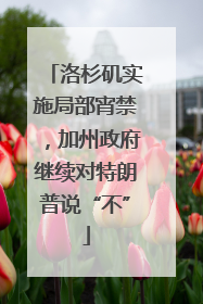 洛杉矶实施局部宵禁，加州政府继续对特朗普说“不”